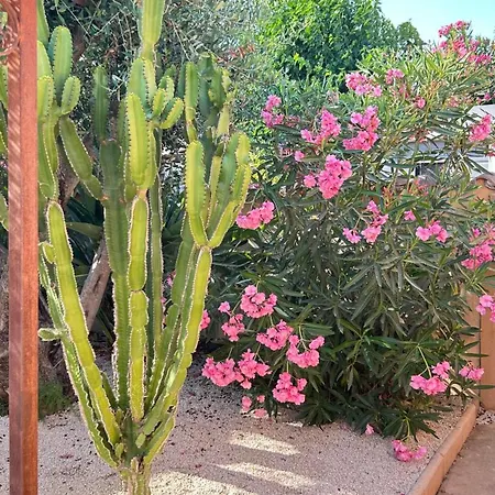 2 Hebergements - 10 Couchages - Parking, Piscine, Jacuzzi - Convivialite Apartment Roquebrune-sur-Argens